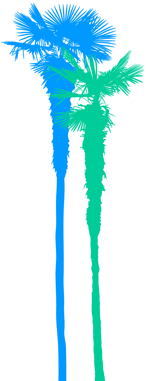 Palm Trees